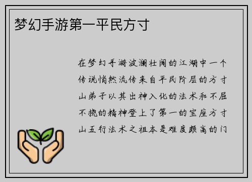 梦幻手游第一平民方寸
