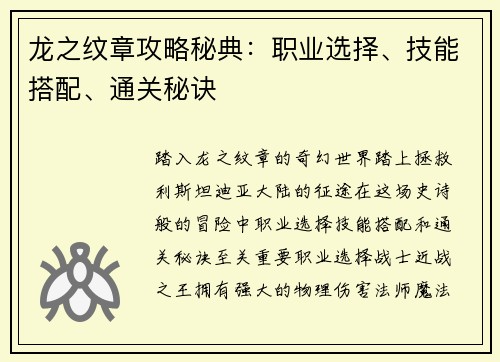 龙之纹章攻略秘典：职业选择、技能搭配、通关秘诀