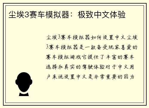 尘埃3赛车模拟器：极致中文体验